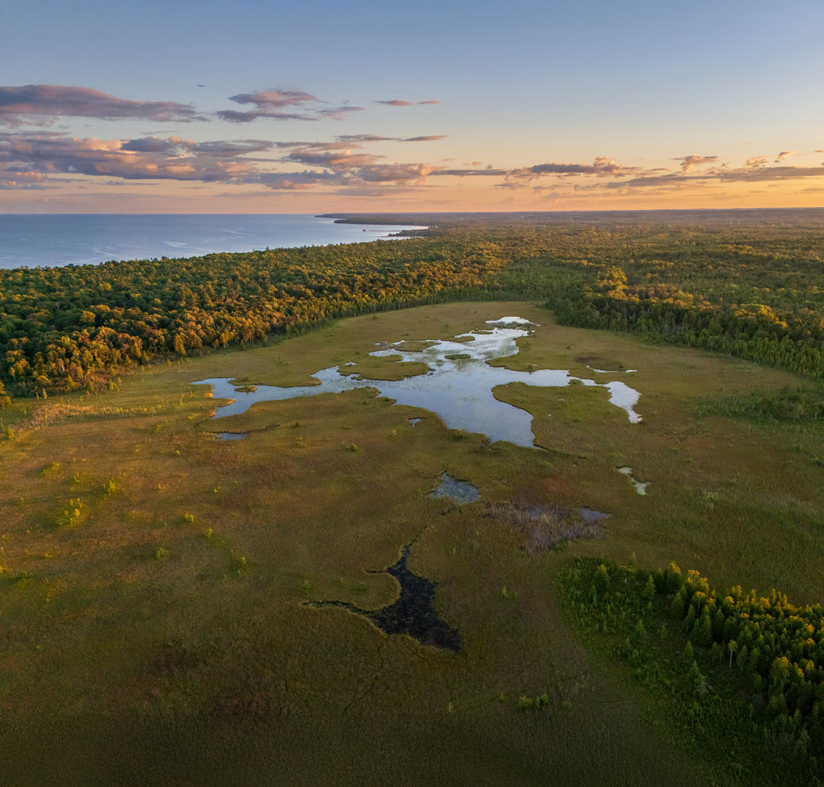 A trail winding through a Door County nature preserve