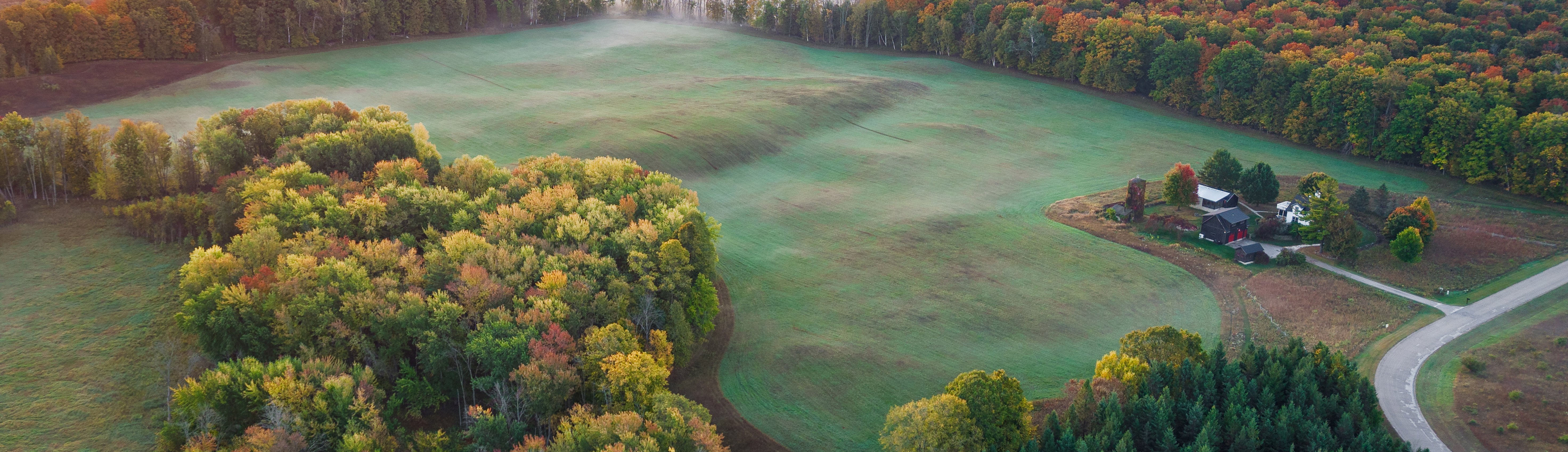 A Door County farm field with forest in the background