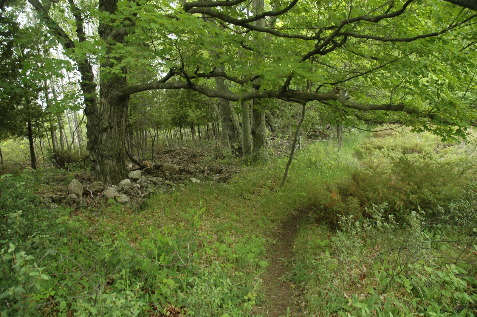 Where History Meets Habitat: Exploring Anderson Pond