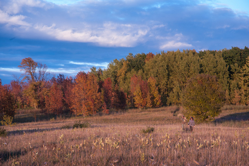 Restored prairie in fall color with Green Bay visible in the distance