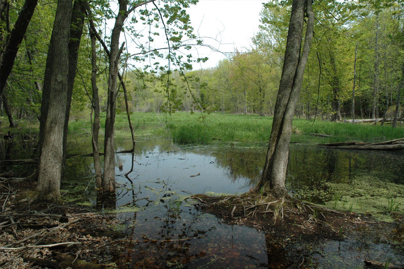 Ephraim Nature Preserve at Anderson Pond