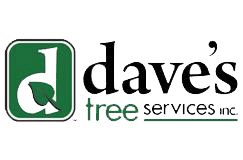 Dave's Tree Services